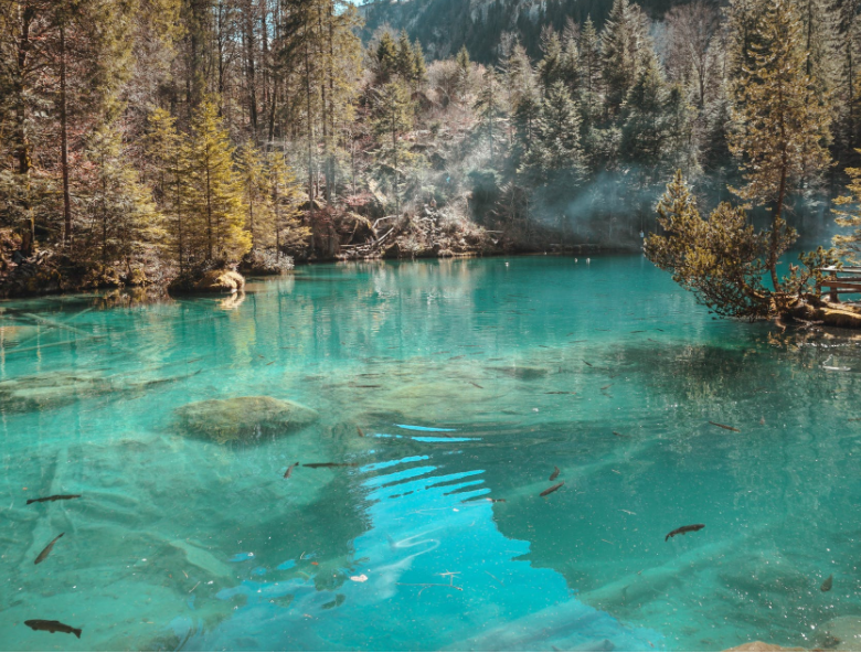 1649989938518638.png 微信截圖_20220401133602.png