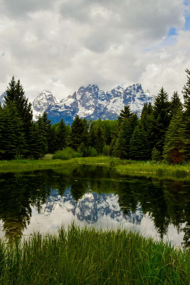 氨氮廢水 氨氮廢水