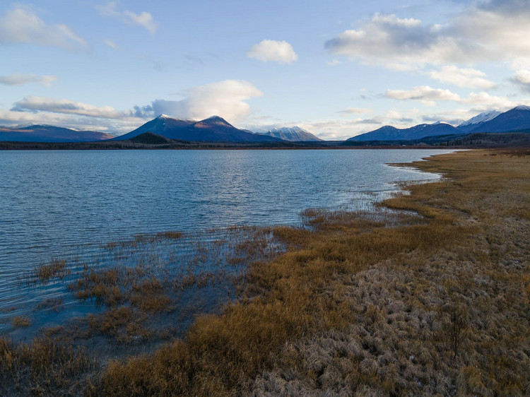 污水處理廠水質檢測 污水處理廠水質檢測